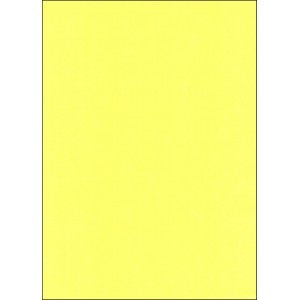A4 YELLOW CARBONLESS PAPER - MIDDLE COPY (CFB)